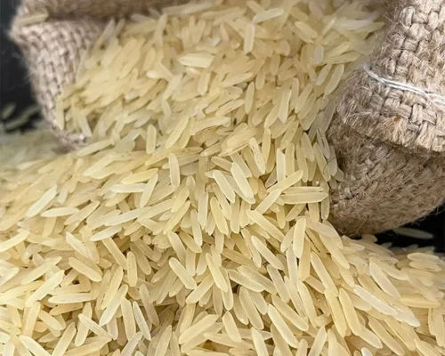 1509 Basmati Rice